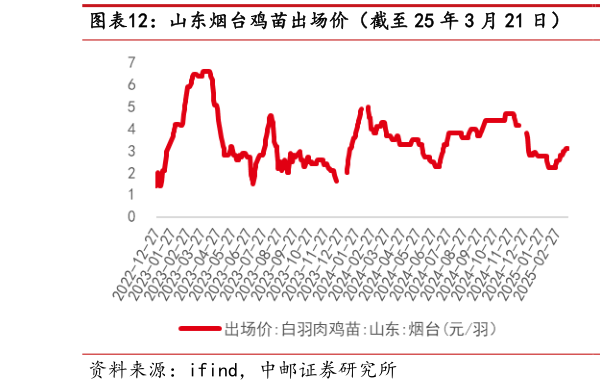 如何了解山东烟台鸡苗出场价(截至 25 年 3 月 21 日) 山东烟台毛鸡收购价(截至 25 年 3 月 21 日)?