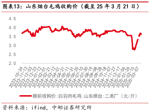 一起讨论下山东烟台毛鸡收购价(截至 25 年 3 月 21 日)?