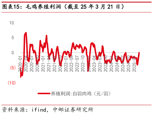 咨询下各位毛鸡养殖利润(截至 25 年 3 月 21 日)?
