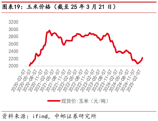 谁能回答玉米价格(截至 25 年 3 月 21 日)?