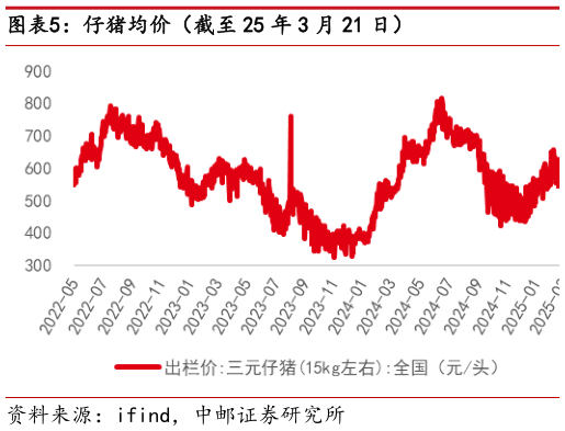 一起讨论下仔猪均价(截至 25 年 3 月 21 日)?
