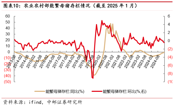 如何了解农业农村部能繁母猪存栏情况(截至 2025 年 1 月)?