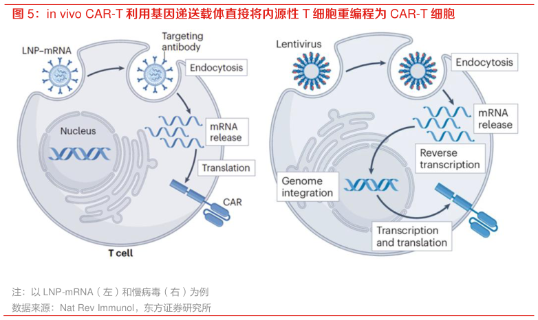 咨询下各位in vivo CAR-T 利用基因递送载体直接将内源性 T 细胞重编程为 CAR-T 细胞?
