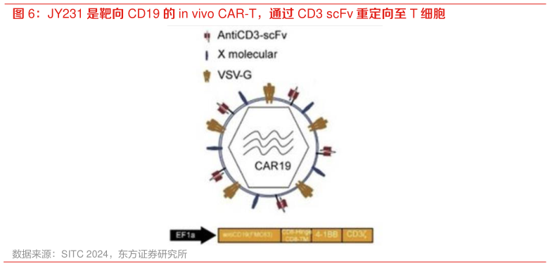 谁知道JY231 是靶向 CD19 的 in vivo CAR-T,通过 CD3 scFv 重定向至 T 细胞?