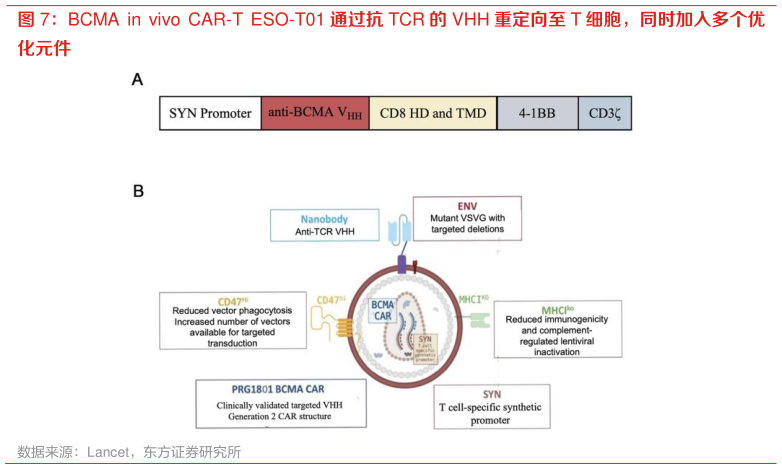 咨询下各位BCMA in vivo CAR-T ESO-T01 通过抗 TCR 的 VHH 重定向至 T 细胞,同时加入多个优?