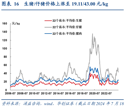 如何了解生猪仔猪价格上涨至 19.1143.00 元kg?
