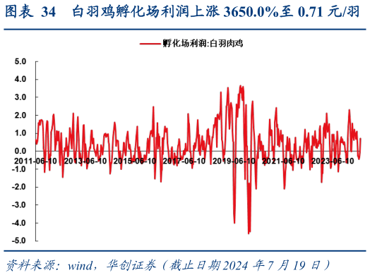一起讨论下白羽鸡孵化场利润上涨 3650.0%至 0.71 元羽?