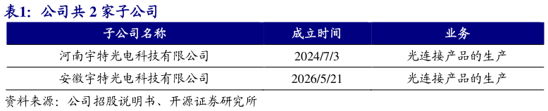 怎样理解公司共 2 家子公司 