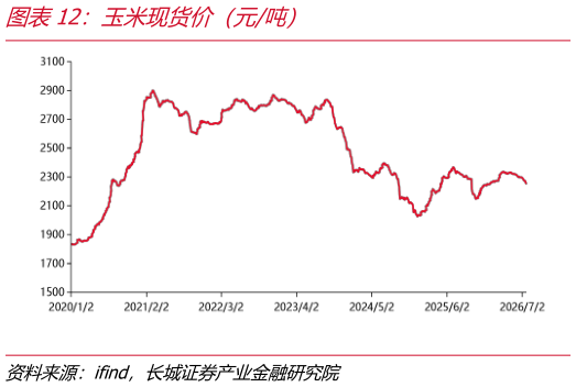 咨询下各位玉米现货价（元吨）
