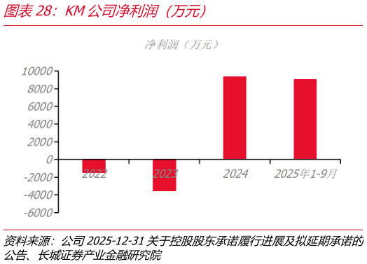 咨询大家KM公司净利润（万元）