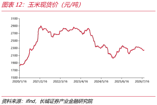 如何了解玉米现货价（元吨）