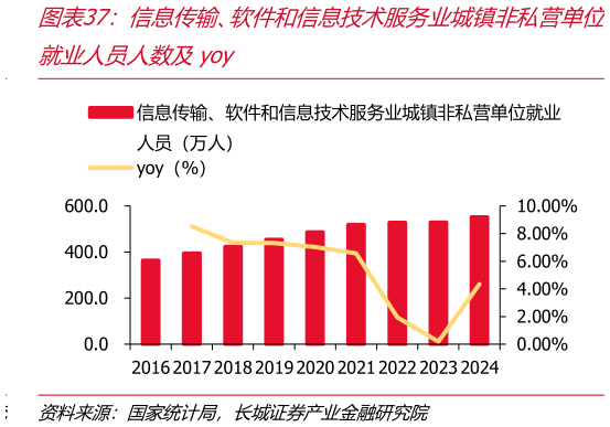 如何解释信息传输、软件和信息技术服务业城镇非私营单位