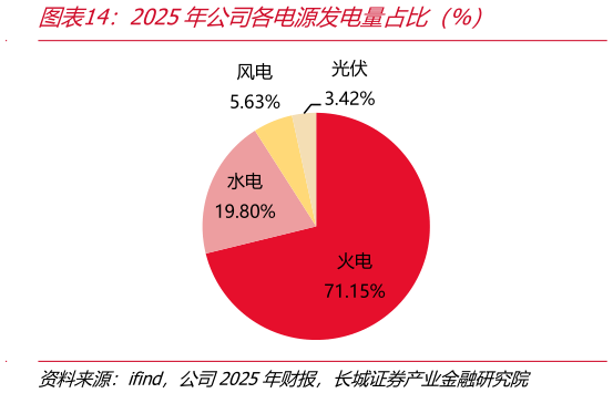 如何才能2025年公司各电源发电量占比（%）