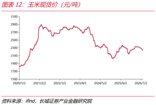 谁能回答玉米现货价（元吨）
