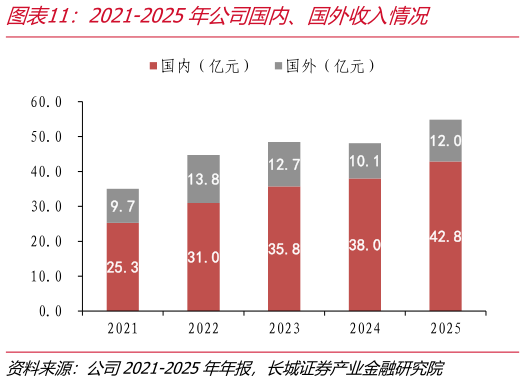 如何了解2021-2025年公司国内、国外收入情况