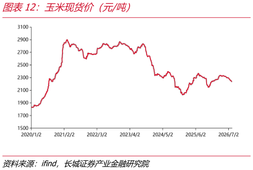一起讨论下玉米现货价（元吨）