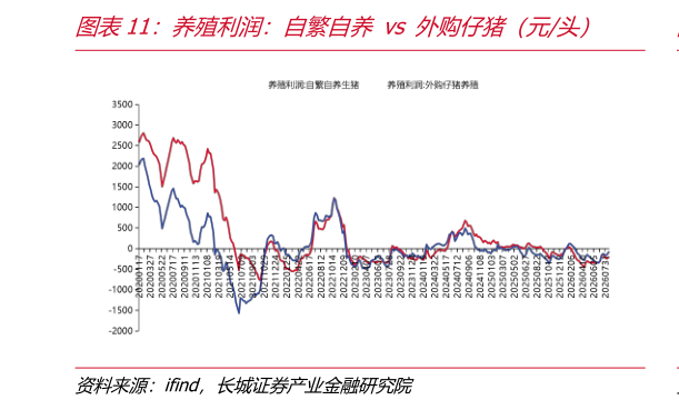 谁知道养殖利润：自繁自养vs外购仔猪（元头）