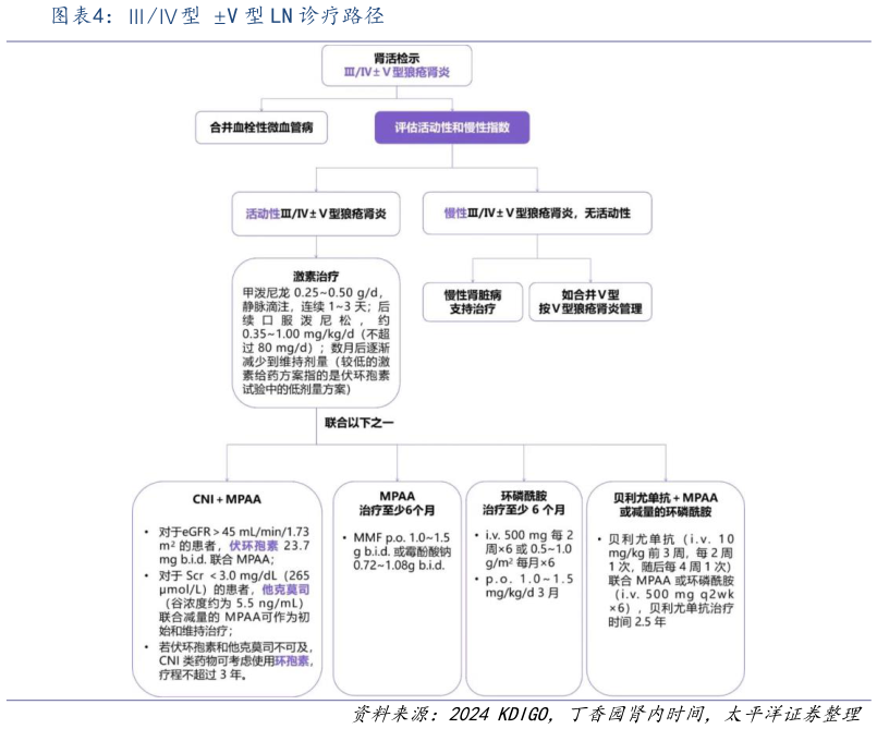 如何了解型 V 型 LN 诊疗路径?