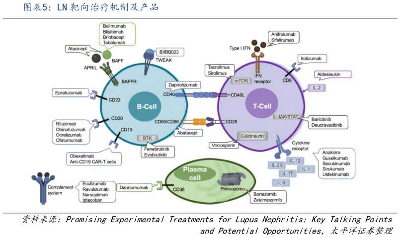 各位网友请教一下LN 靶向治疗机制及产品?