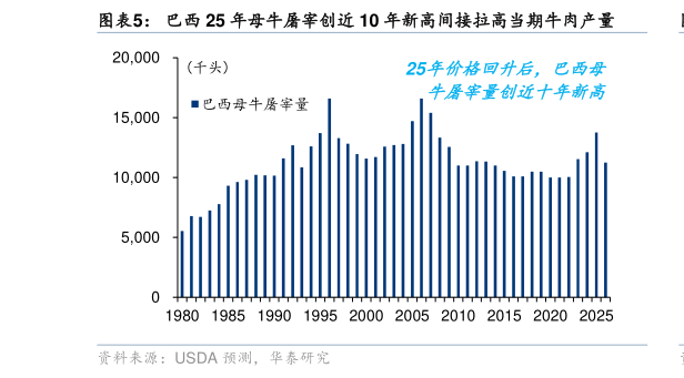 怎样理解巴西 25 年母牛屠宰创近 10 年新高间接拉高当期牛肉产量