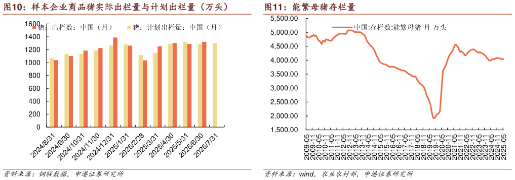 如何看待样本企业商品猪实际出栏量与计划出栏量(万头)?