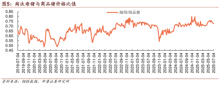 如何解释淘汰母猪与商品猪价格比值?