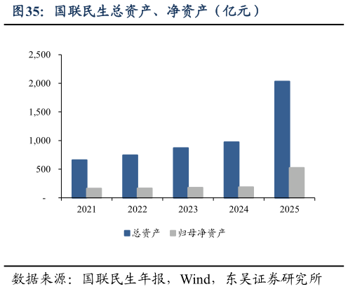 想问下各位网友国联民生总资产、净资产（亿元）