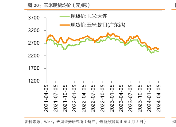 如何才能玉米现货均价（元吨）?