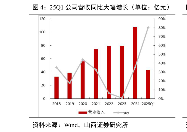 各位网友请教一下25Q1 公司营收同比大幅增长(单位:亿元)?