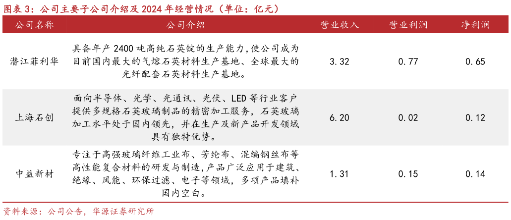 如何了解公司主要子公司介绍及 2024 年经营情况（单位：亿元）