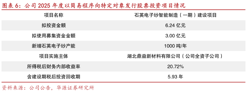 谁能回答公司 2025 年度以简易程序向特定对象发行股票投资项目情况
