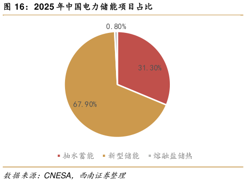 怎样理解2025 年中国电力储能项目占比