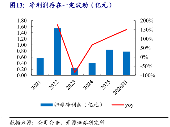 怎样理解净利润存在一定波动（亿元）
