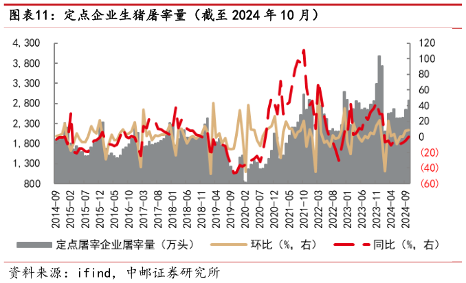 一起讨论下定点企业生猪屠宰量（截至 2024 年 10 月）?