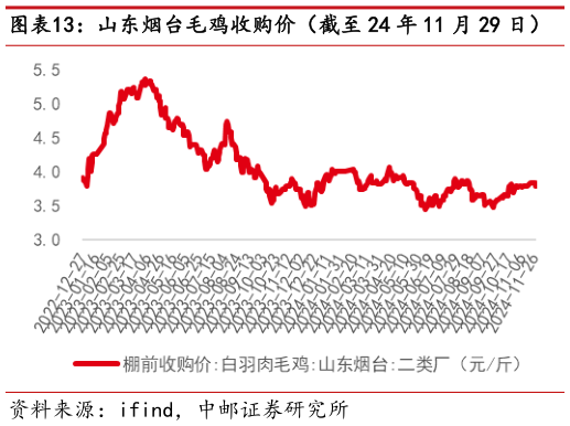 如何解释山东烟台毛鸡收购价（截至 24 年 11 月 29 日）?