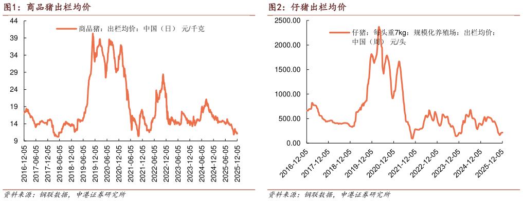 如何才能商品猪出栏均价