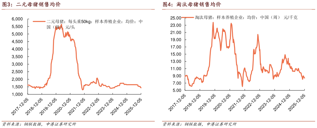 各位网友请教一下二元母猪销售均价 仔猪出栏均价 淘汰母猪销售均价