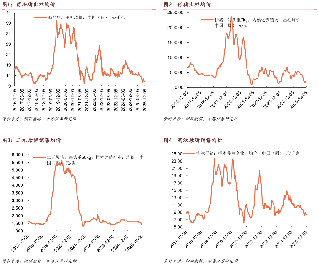 请问一下仔猪出栏均价 淘汰母猪销售均价