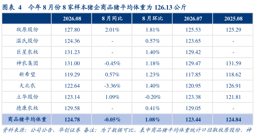 如何解释今年 8 月份 8 家样本猪企商品猪平均体重为 126.13 公斤