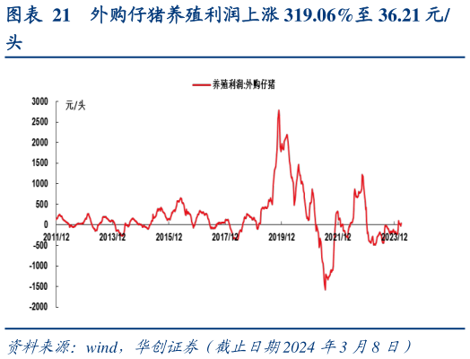 怎样理解外购仔猪养殖利润上涨 319.06%至 36.21 元?