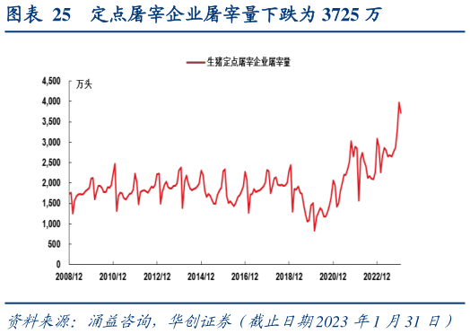 咨询大家定点屠宰企业屠宰量下跌为 3725 万?