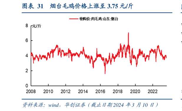 如何了解烟台毛鸡价格上涨至 3.75 元斤?