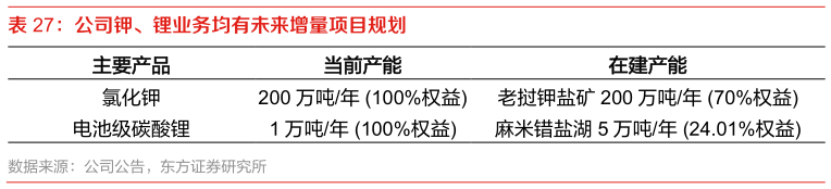 如何了解公司钾、锂业务均有未来增量项目规划