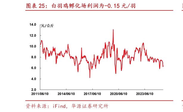 咨询大家白羽鸡孵化场利润为-0.15 元羽?