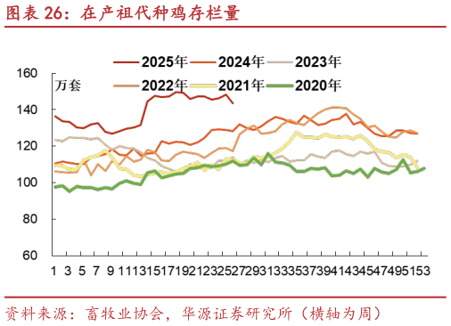 如何了解在产祖代种鸡存栏量?