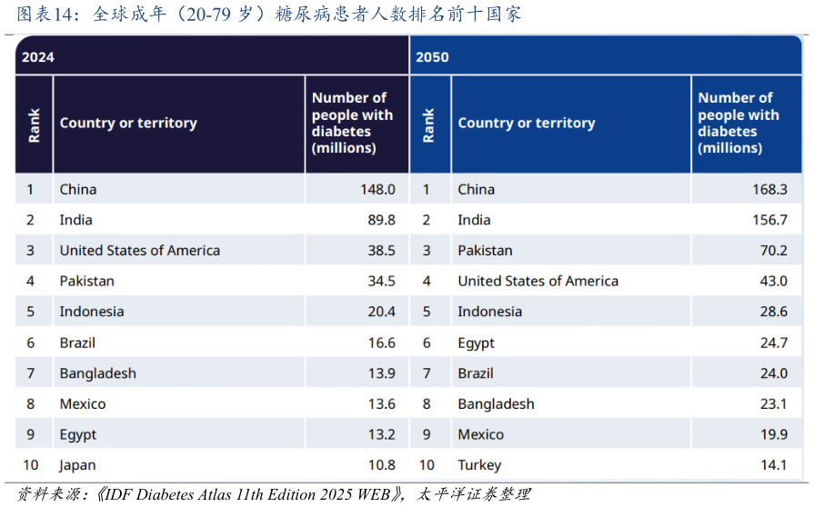 如何解释全球成年（20-79 岁）糖尿病患者人数排名前十国家?