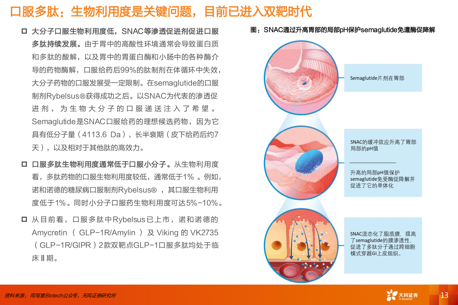 如何解释口服多肽：生物利用度是关键问题，目前已进入双靶时代