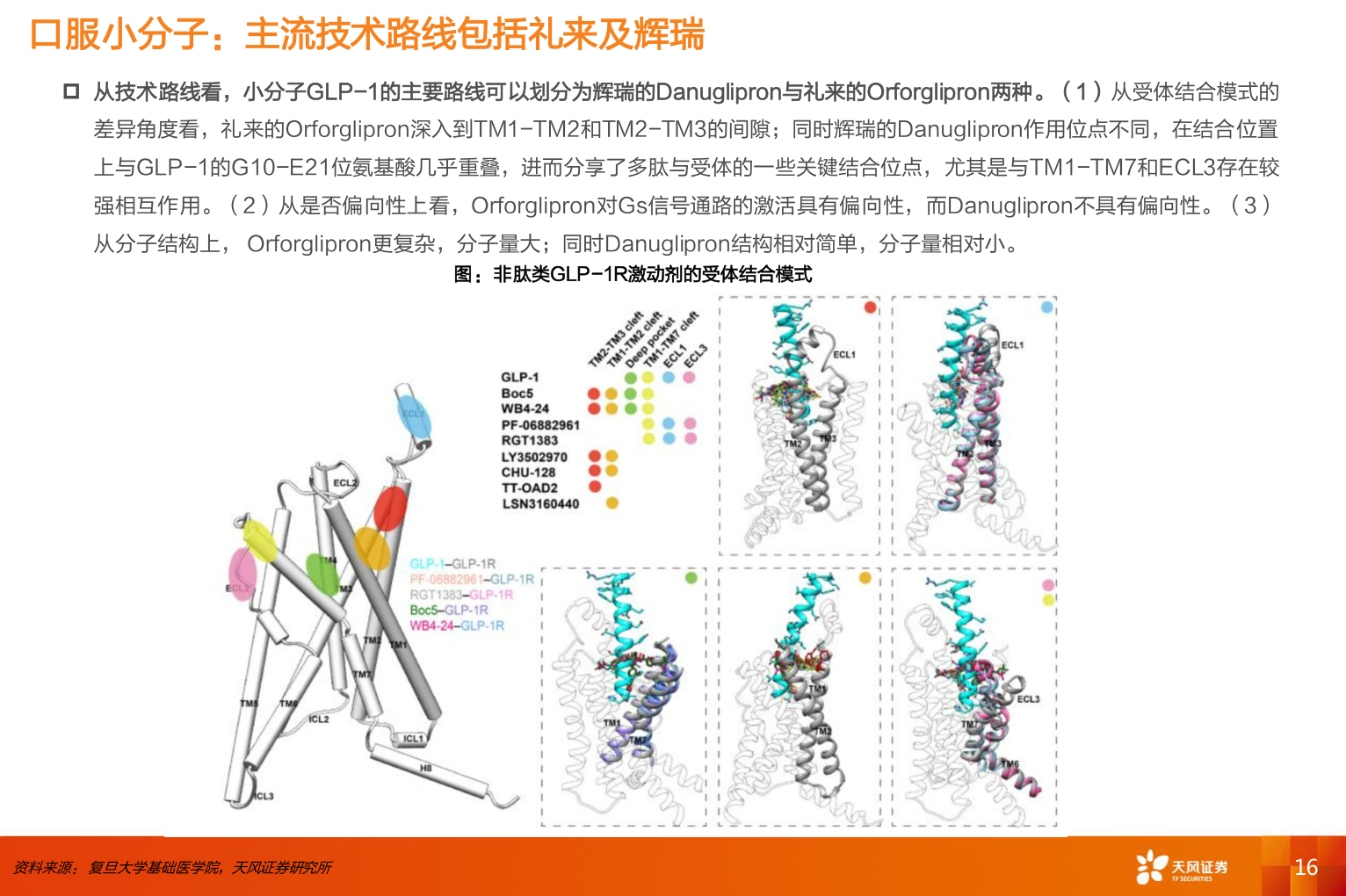 谁知道口服小分子：主流技术路线包括礼来及辉瑞