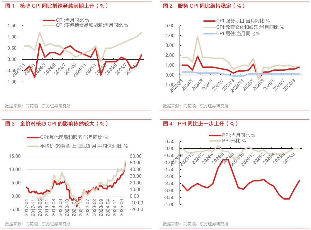 如何了解服务 CPI 同比维持稳定（%） PPI 同比进一步上升（%）?