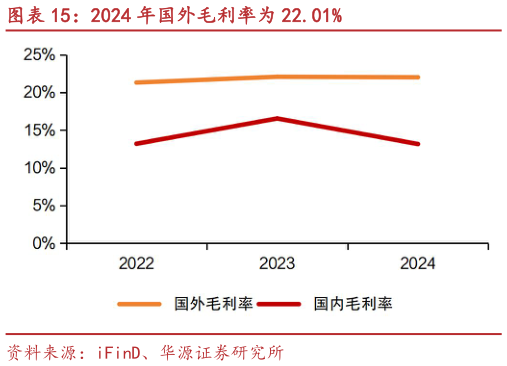 怎样理解2024 年国外毛利率为 22.01%